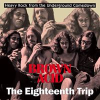 Brown Acid: The Eighteenth Trip (Heavy Rock From The Underground Comedown)