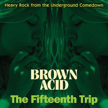 Brown Acid: The Fifteenth Trip (Heavy Rock From The Underground Comedown)