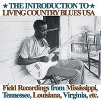 The Introduction To Living Country Blues USA