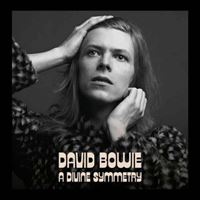 A Divine Symmetry (An Alternative Journey Through Hunky Dory)