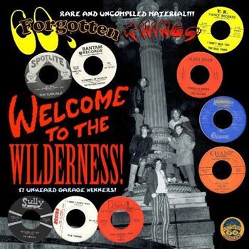 60's Forgotten Things - Welcome To The Wilderness!